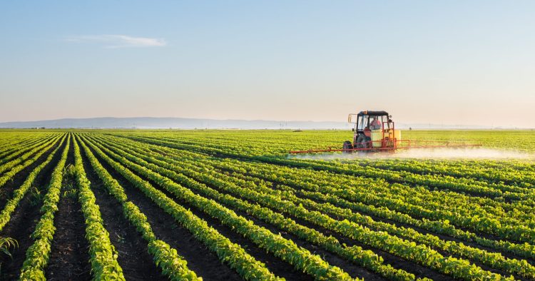 A Study Challenges Food Self-Sufficiency and Calls for a New Agricultural Model in Morocco 1 filaha 1