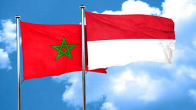 Morocco-Indonesia: A Trade Agreement Expected by 2027 11 images 5