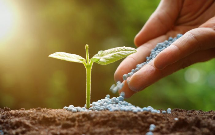 Disruptions in the European Fertilizer Market Strengthen Morocco's Position as a Strategic Supplier 1 ocp