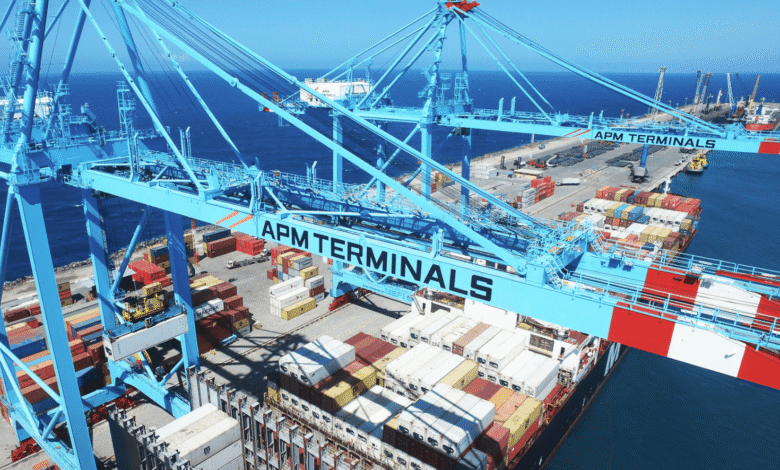 APM Terminals cranes