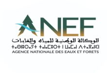 Forest Fires: Extreme Risk in Six Provinces of Morocco 7 anef 1