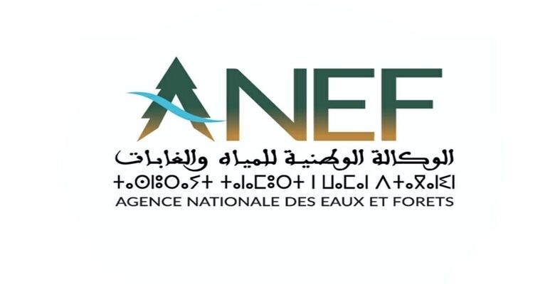 anef 1