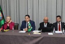 Bourita Calls for Strengthening the International Response to Non-State Armed Groups 15 bourita ccg