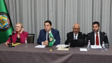 Bourita Calls for Strengthening the International Response to Non-State Armed Groups 5 bourita ccg