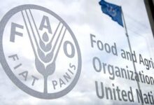 Filaha: The FAO Supports the Transformation of Moroccan Agriculture 13 fao food 030920