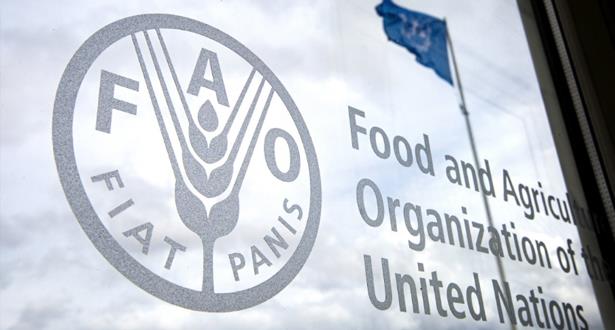 fao food 030920