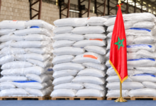 Morocco Offers 500 Quintals of Fertilizer to Panama 7 image 117 700x394 1