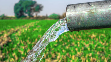 Agriculture in Morocco: After the Elections, Small Farmers Await Answers to Water Stress Challenges 1 istockphoto 1164176852 612x612 1