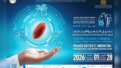 15e Salon International des Dattes au Maroc Erfoud scaled