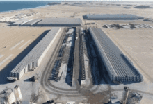 Dakhla Atlantic: Construction Progress Exceeds 74% 15 98448218 68654634