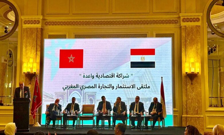 Batteries: Morocco and Egypt Explore a New Factory 1 Forum economique maroco egyptien