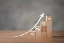 croissance lebrief 1100x733 1 scaled