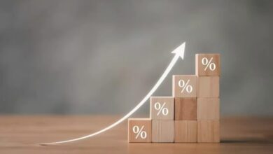 croissance lebrief 1100x733 1 scaled