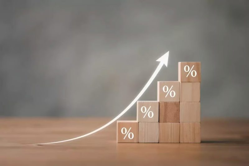 croissance lebrief 1100x733 1 scaled