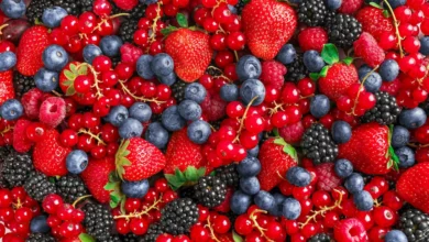 fruits ro