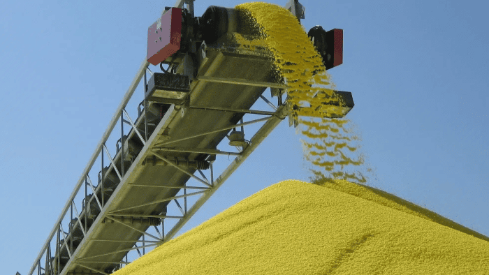 OCP: Morocco Diversifies Its Sulfur Purchases 1 image 102 700x394 1