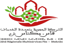 SRM Fès-Meknès: 20 Million DH to Secure Drinking Water 9 logo srm 500x300 1