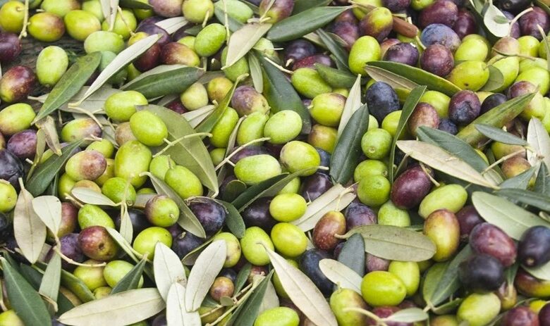 olives
